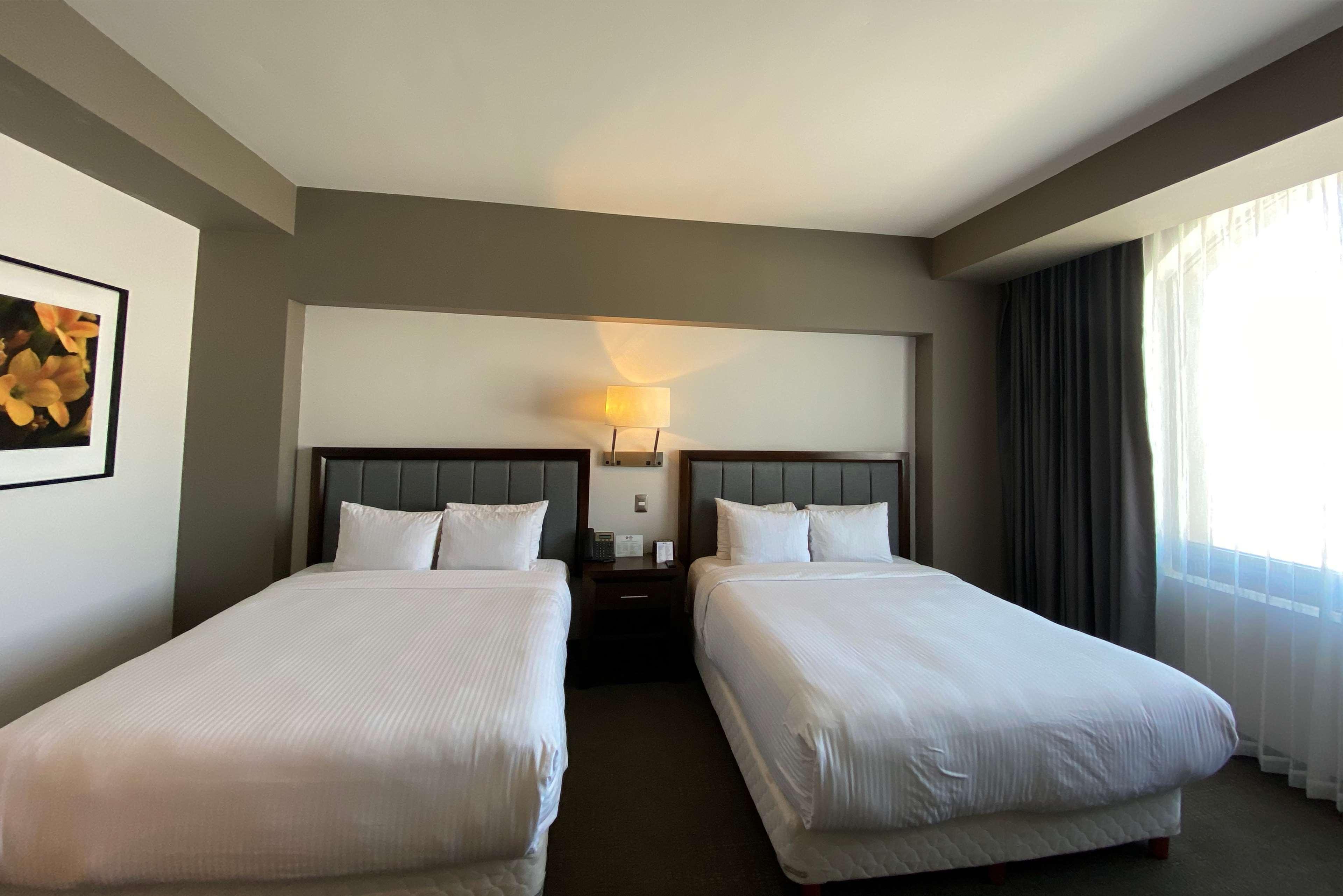 Best Western Oak Meadows Inn Сент-Хеленс Экстерьер фото